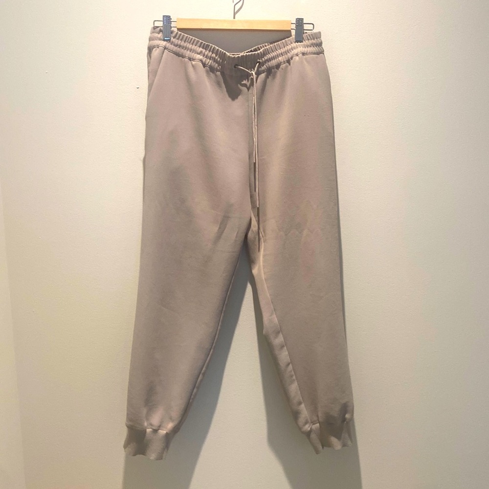 Aritzia Dress Pant Joggers